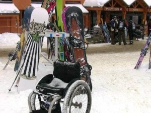 wheelchair_skis