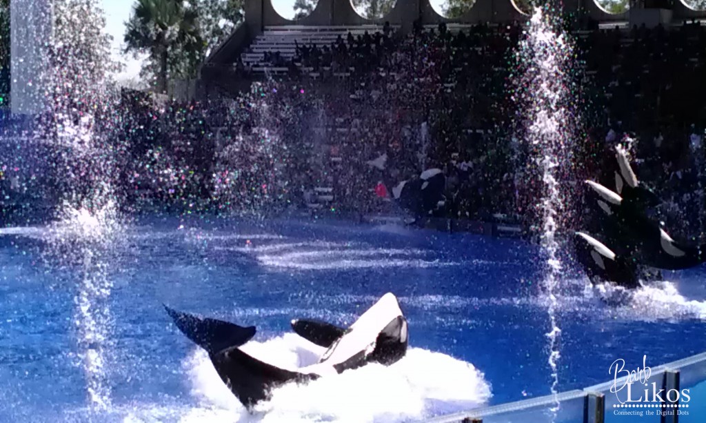 Shamu jump action burst 2