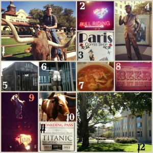 Dallas Fort Worth Itinerary Photo Collage