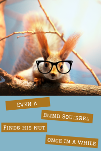 squirrel joke-even a blind squirrel finds a nut every once in a while