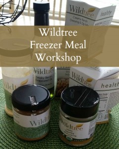 Wildtree Kidtastic Freezer Meal Workshop product bundle sign