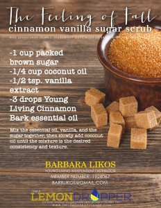 cinnamon vanilla sugar scrub