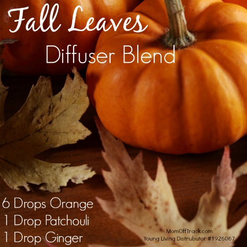 fall leaves diffuser blend