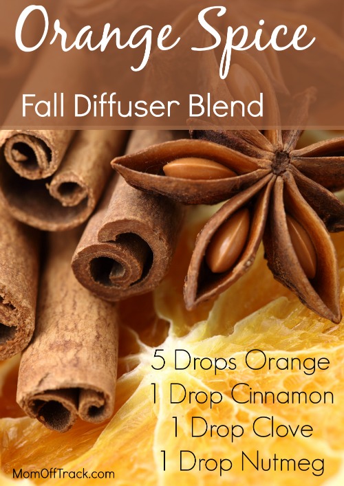 orange spice fall diffuser blend