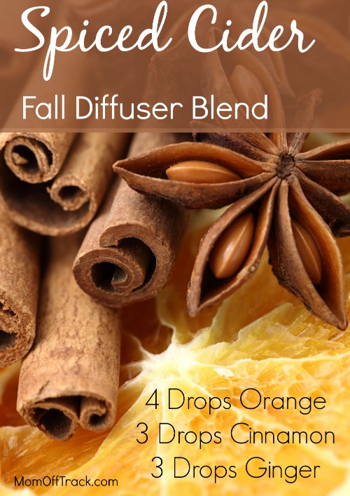 spiced cider fall diffuser blend