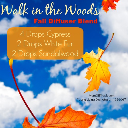 walk in the woods fall diffuser blend - Mom Off Track