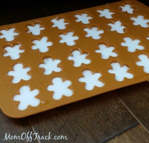 essential oil fragrance stones gingerbread mold