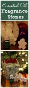 Such an easy essential oils recipe. Use these scent stones in the garbage can, stinky shoes and so many more ideas in the post.