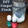 DIY Carpet Freshener