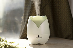 home diffuser sale