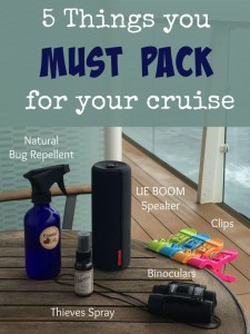 5 things you must pack for your cruise