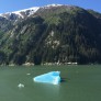 Gorgeous ice floating by in Tracy Arm Fjords