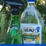 How To Make a DIY Glass Spray Bottle