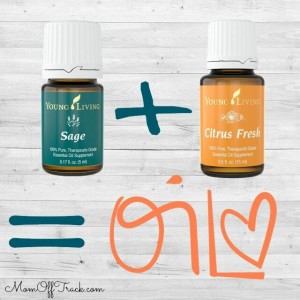essential oil diffuser recipes for summer sage and citrus