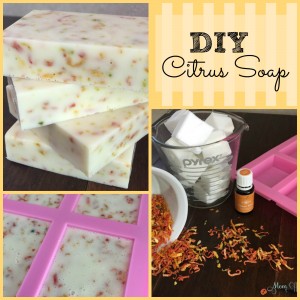 DIY Citrus Soap FB