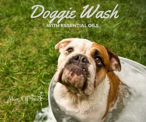 Want to use a good dog wash with essential oils? This one is great.