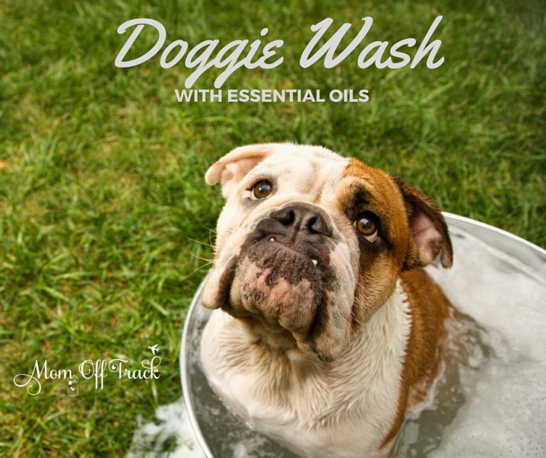 DIY Dog Wash With Essential Oils Mom Off Track