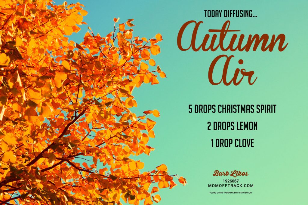 Essential Oil Diffuser Blends for Fall: Autumn Air