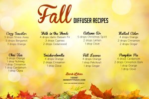 Essential Oil Diffuser Blends for Fall: Lots of Options