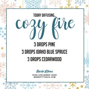 Great Winter Essential Oil Diffuser Recipe! Love COZY FIRE!