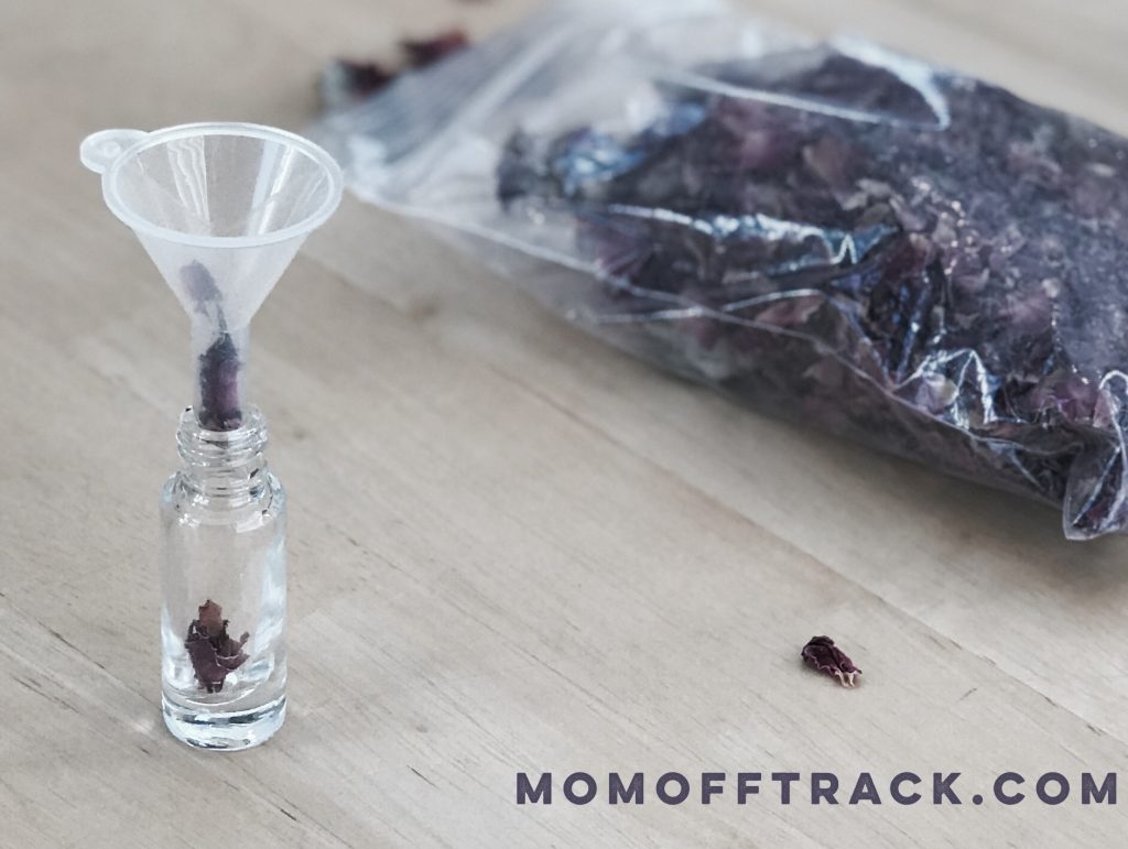 Filling a Spring Roller with Rose petals is actually easy with this little funnel. 
